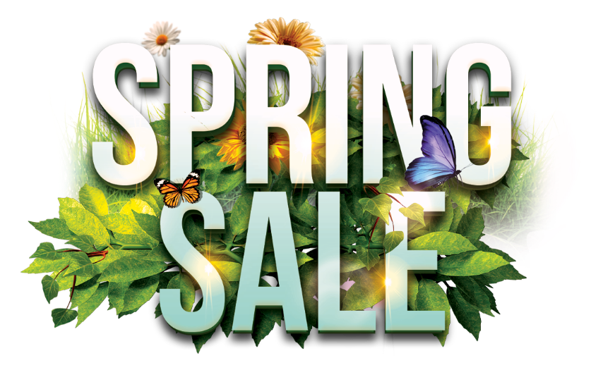 Spring Sale Banner